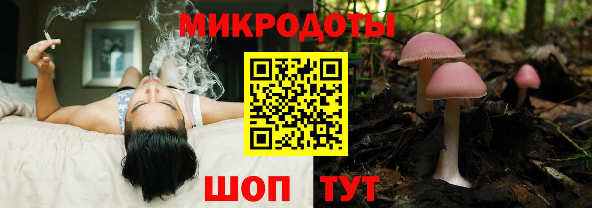 Галлюциногенные грибы MAGIC MUSHROOMS  Вход с VPN  Дивногорск 